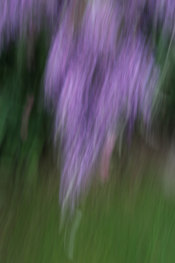 Shower of Colour - Brian Moyse